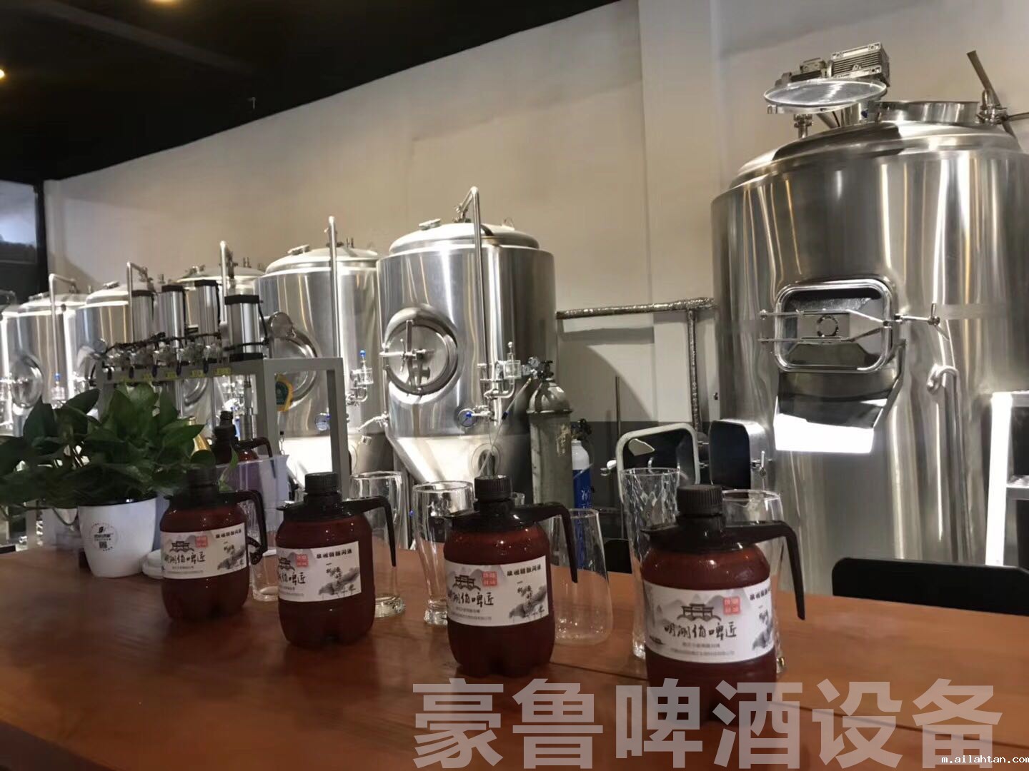 啤酒设备 啤酒设备