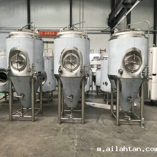 500L啤酒发酵设备