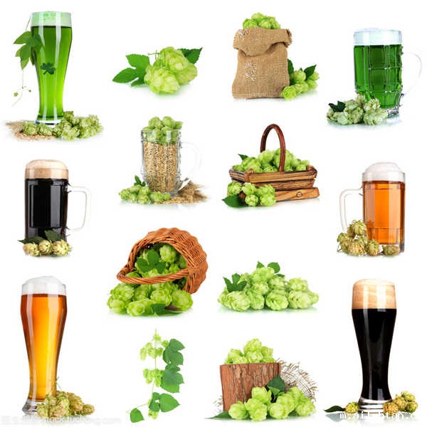 啤酒原料 啤酒原料